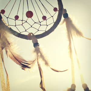 Dreamcatcher Atom Theme.apk 1.0