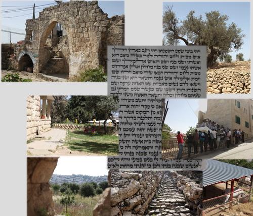 Ohr Shlomo Torah at Tel Hebron