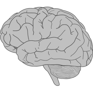 Brain Bash Elite.apk 1.0.3