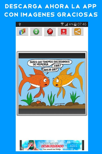 【免費娛樂App】Imagenes Graciosas 2-APP點子
