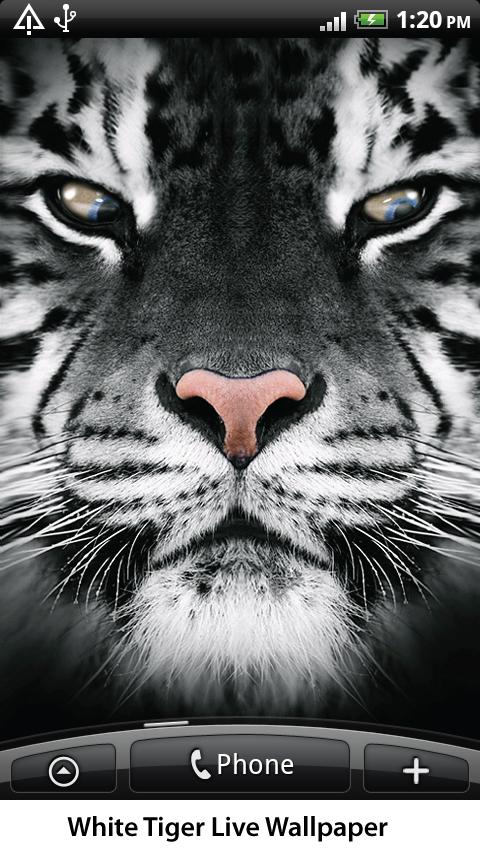 White Tiger Live Wallpaper Screen 2