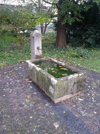 Brunnen im Botanischen Garten