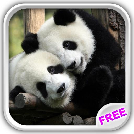 Sweet Pandas Live Wallpaper LOGO-APP點子