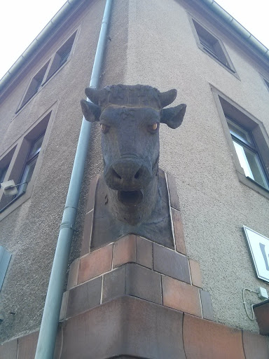 Die Kuh An Der Ecke 