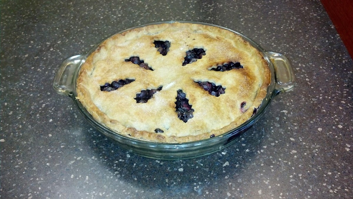 Fresh Blueberry Pie (Gluten & Dairy Free)