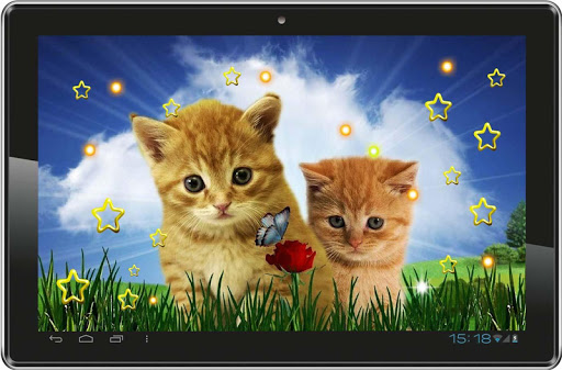 【免費個人化App】Cute Kittens HD live wallpaper-APP點子