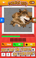 Rubbel-Quiz APK Screenshot #8