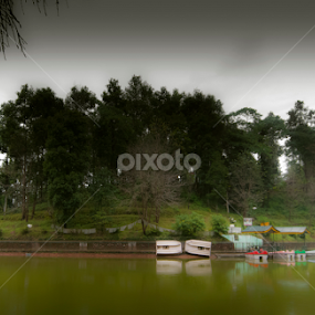 Stagnant by Debashis Banerjee - Nature Up Close Water