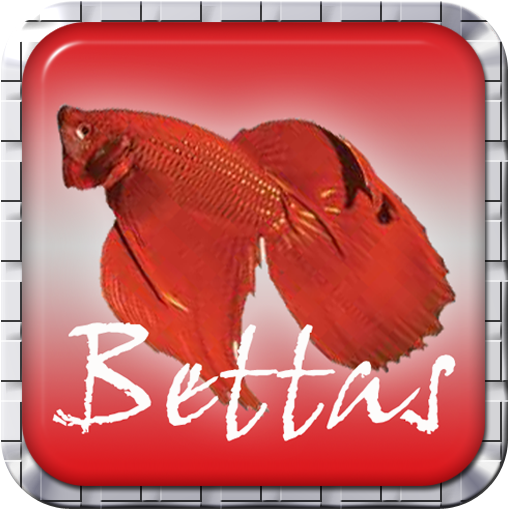 Bettas in 10 LOGO-APP點子