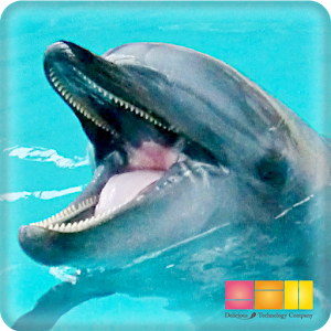i 水族館　桂浜・足摺.apk 2.4