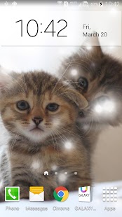 Free Q Cats Live Wallpaper APK for Android
