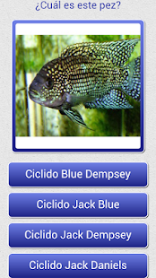 How to install Adivina los Peces lastet apk for bluestacks