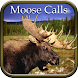 Moose Hunting Calls