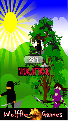 Ninja Assassin Game