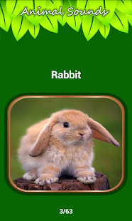 How to get Animal Sounds 1.2 apk for pc