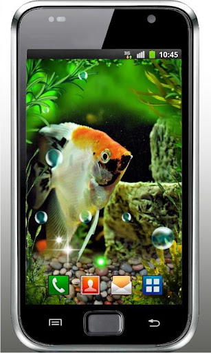 免費下載個人化APP|Aquarium Free live wallpaper app開箱文|APP開箱王