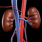 Cover Image of Download Nephrology Assisstant Free 1.4 APK