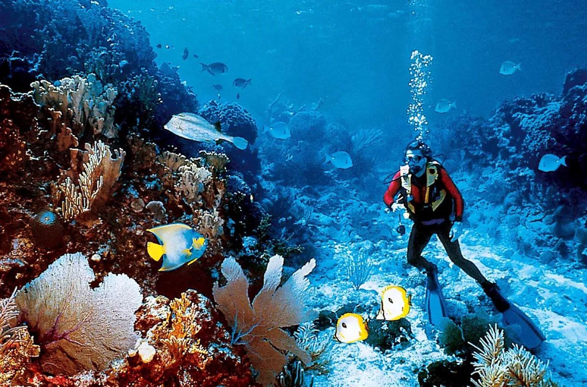 Windstar-Cruises-scuba-diving-tropics - Head to pristine tropical waters for some great scuba diving amid coral reefs and schools of colorful fish on a Windstar cruise.