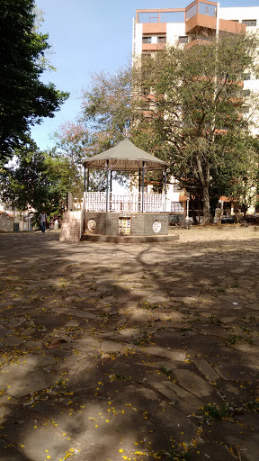 Jardim Dos Sapos