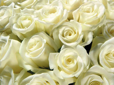 【ベストコレクション】 薔薇 花束 壁紙 270798