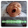 HypnoEnergy Download on Windows