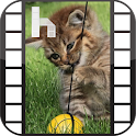 Kitten Free Homescreen