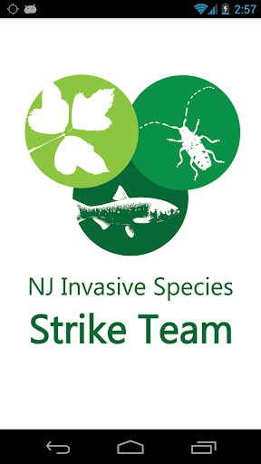 NJ Invasives