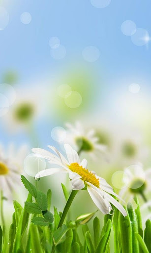 Spring Galaxy S5 Livewallpaper