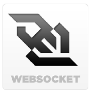 WebSocket 1.0