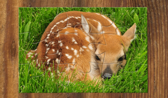 Jigsaw Puzzles with Cool Animal Pictures APK スクリーンショット画像 #18