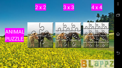 BLappz Animal Puzzle