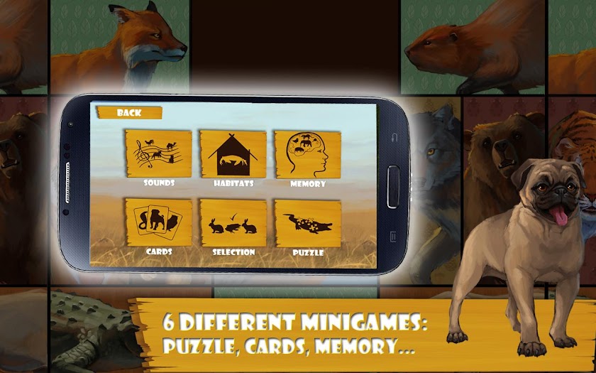 Blini Kids Animals Educational Screen 2