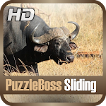 Cover Image of ダウンロード Wild Animal Sliding Puzzle 1.0.7 APK