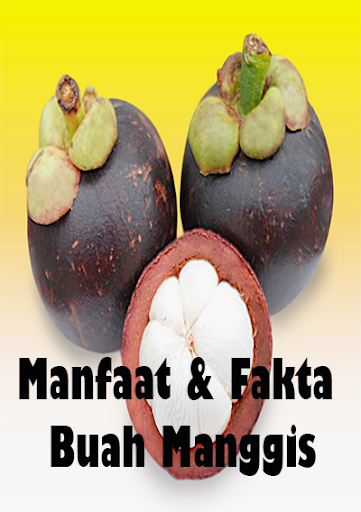 Manfaat Fakta Buah Manggis