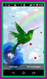 Humming Bird Live Wallpaper poster 6