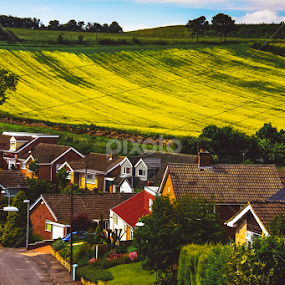 One day in England by Vladimir Firsov - Landscapes Prairies, Meadows & Fields