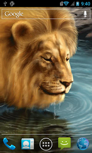 Lastest Lion live wallpaper APK for Android