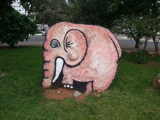 Elefante Na Praça