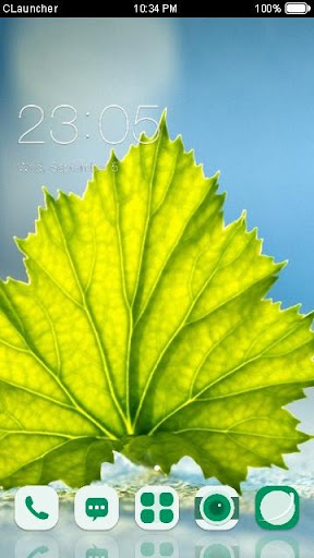 Fresh Leaf C Launcher Theme