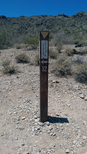 12 Desert classic trail