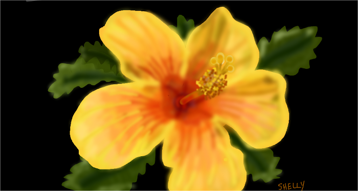 Lily