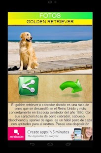 GOLDEN RETRIEVER Screenshots 5