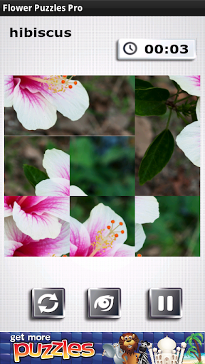 【免費解謎App】Flower Puzzles Pro-APP點子