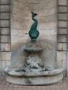 Fontaine Poisson