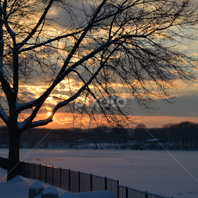 Frozen Hudson by Souvik Roy - Landscapes Waterscapes