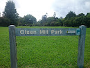 Eudlo Olsen Mill Park East