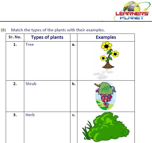 iNvxQjQYDas7zdD1_kptVdxO3ZaoYEsm_gII_ykeJqmjr4Vop_0nWtZtsOY1iq6Wf6g=h900