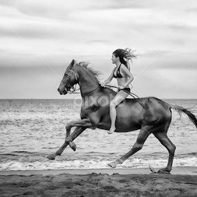 Gen & Jack by JD Pascual - Animals Horses
