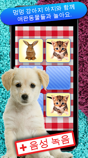 메모리 게임 애완동물 의 유치원생 아동과 메모 게임