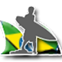 Wave Brazil logo